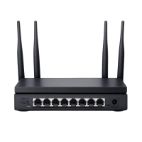 Mreže i povezivost (15)