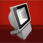 LED reflektor 70W 6500K za vanjsku rasvjetu