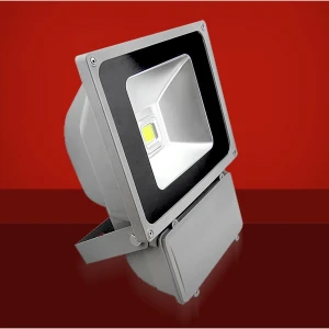 LED reflektor 70W 6500K za vanjsku rasvjetu